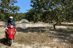 7,7 sào 125m mặt tiền suối kiết tánh linh 1,8 tỷ