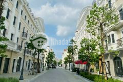 Cơ hội vàng đầu tư shophouse europe của tập đoàn sungroup siêu lời, siêu lợi nhuận