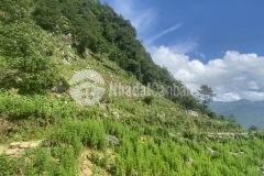 Chưa đầy 500km2 bạn đã sở hữu 1 lô đất rộng tới gần 4000m2 tại y tý lào cai