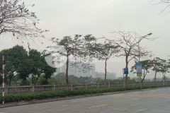 Nhà phúc lợi đường 20m to như phố,60m2, chỉ nhỉnh 4 tỷ