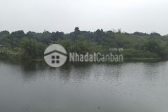 Bán gấp 3200m2 đất trong đó có 200m2 tc còn lại là cln, lô đất bám mặt hồ lớn