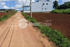 Bán đất bồng lai 800 triệu 5x23m dt 115m2 thổ cư 75m2 đạ ròn đơn dương