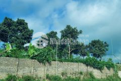 Cắt lỗ mảnh đất rộng có 400m2 thổ cư tại chiềng di, mộc châu đầu tư sinh lời