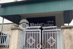 Bán đất hai mặt tiền trung tâm vân đồn phù hợp xây nhà nghỉ