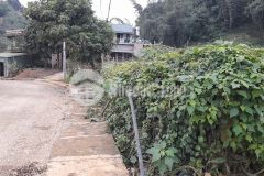 Cơ hội để sở hữu mảnh đất hơn 800m2 tiềm năng tại nông trường mộc châu cho nhà đầu tư