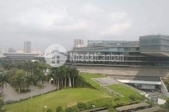 Mặt phố miếu đầm, kinh doanh sầm uất, 9 tầng thang máy, doanh thu 1 tỷ1n 55m, 9t, 28.5 tỷ.