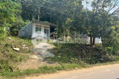 Đất ngang 12m mặt tiền hương lộ 62 qh 42m chỉ 2,3tỷ