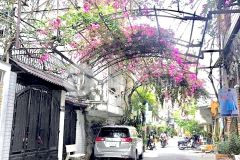 Khu nhà phố đẹp hoành tráng, phan văn trị, xe hơi đậu cửa, 57m2 giá 7.75 tỷ.