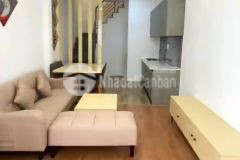 Bán nhà khu vip 1trệt 1lầu,hẻm 4m trung tâm quận 7, giá 3.75 tỷ