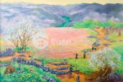 Ko thể tin nổi đất trung tâm y týsapa2 giá chỉ hơn 1trm2