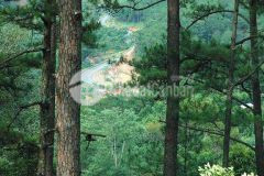 Bán đất view đẹp xịn xò khe sanh, view thung lũng, đà lạt