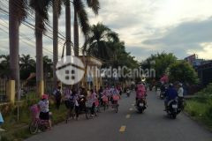 Bán đất bình minh, hợp đức, đồ sơn giá chỉ 500 triệu