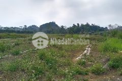 Bán gấp 1ha đất full cây lâu năm chỉ có 250km2