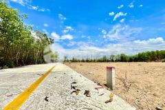 Bán lô đất vuông vứt đẹp ngay tại ql55 với giá chỉ từ 6 triệu