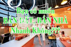 Văn phòng nhà đất q. ba đình có mức phí hh 0.5 rẻ nhất thị trường.