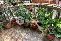 Chỉ 7.5 tỷ, ô tô, mặt phố, kinh doanh, nguyễn chính, 62m2, 2 tầng.