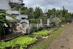 Bán đất việt đức 4 xã ea ktur huyện cư kuin giá 575 triệu