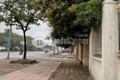 Mp văn phú, lô góc, vỉa hè, kd sầm uất, 81m2, hà đông, giá 12 tỷ