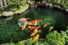 Mặt phố hai bà trưng 371m2 mặt tiền 11m giá cực tốt 140 tỷ lh khánh trần 0972858666