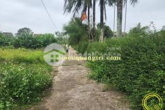 Đất nền giá rẻ, đầu tư sinh lời, tại triệu giang, triệu phong.