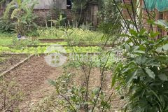 Đất ngọc động, đa tốn, 42 m2 giá 1,6 tỷ đầu tư tốt, phân khúc giá thấp