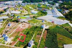 Bán nhanh 220m2 srxd cách đường chính măng lin 20m đà lạt