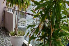 Sổ đẹp hxh vị trí đắc địa nhà siêu công năng.