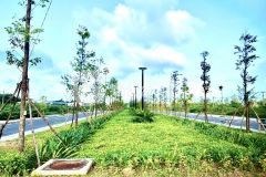 Chính thức bán dự án mới kdc la hà mặt tiền quốc lộ 1a giá chỉ từ 935tr ck3 3