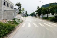 Bán đất dương quang gia lâm mt 6.5m, ô tô tránh, ngã 3, kd đỉnh