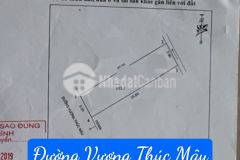 Đất kinh doanh đường vương thúc mậu trường thi tp vinh