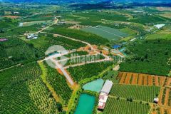 Bán đất ngay trung tâm cư m gar 2 mặt tiền