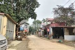 Thấy em thì gọi 240m2 mặt tiền 12m đường liên xã, kinh doanh nhỉnh 1 tỷ mỹ đức hà nội