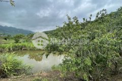 Mảnh đất hơn 500m2 tại tả van, sapa view đẹp xuất sắc