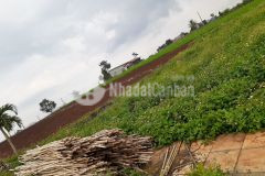 Cần bán 2 lô đất ở đô thị liền kề, giá đầu tư f0 mặt tiền nhựa 6m trung tâm tt đinh văn