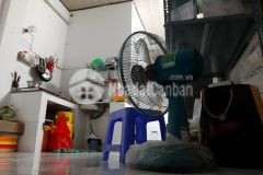 Cho thuê nhà nguyên căn phường 7 quận gò vấp