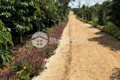 Bán mảnh đất 603 m2 tại xã tân châu, di linh, lâm đồng giá 920tr