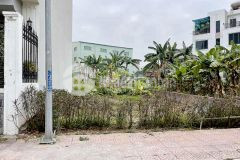 Bán đất đa tốn gia lâm thông ô tô, dt 78m2, mt 6.2m, tiện kd