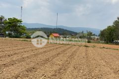 Chính chủ cần bán đất lạc xuân đơn dương lâm đồng 21x35 giá 1tỷ 55