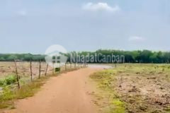 Thanh lý lô đất vườn giá rẻ 600tr1000m miễn phí xe đi tham quan 0938566812