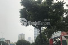 Bán nhà mặt phố trần duy hưng, cầu giấy, 60m,5t, kinh doanh, 23 tỷ, 0987616218