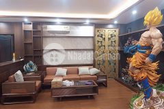 Gà đẻ trứng vàng mặt phố cầu giấy 180m2, 10t, vỉa hè, kinh doanh vô địch, 61.7 tỷ