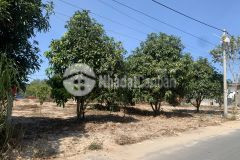 Đất nền biển cam lâm giá rẻ hơn thị trường