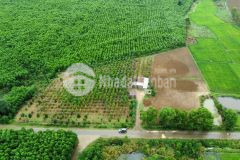 Chính chủ gửi bán, lô đất full hồng giá đầu tư bao lời.