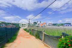 Đất nền đạ ròn,gần sân bay,gần sân bay liên khương