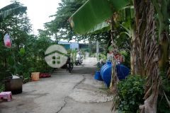 Cần bán nền đất tại ấp bình phong, xã tân mỹ chánh