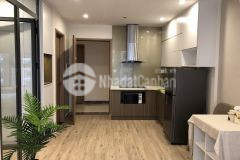 Căn 1pn 1 toà s2.19, vinhomes ocean park, hướng đông nam bán giá rẻ nhất thị trường, chỉ 1.3 tỷ