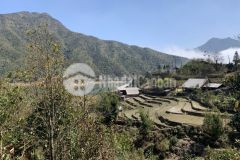 Đất nền nghỉ dưỡng tả phìn,quy hoạch phát triển sapa mở rộng,đầu tư là tăng trưởng