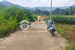 Đất trung tâm thị trấn liên nghĩa đức trọng cách sân bay liên khương 500m