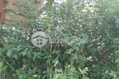 Bán đất đẹp mặt tiền tôn đản đường 7m5 lề 3m 90m2