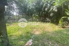 Bán đất nền full thổ ở diện tích rộng có sổ chính chủ sang tên ngay ở trảng bàng